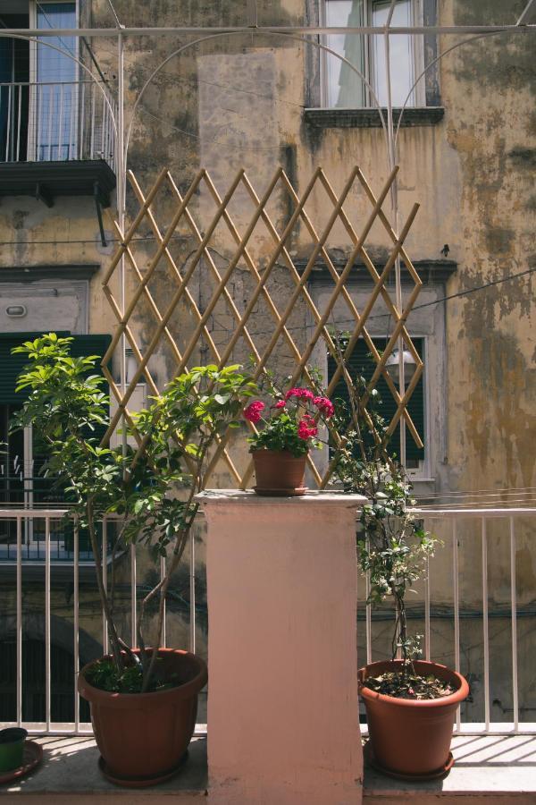 Appartamento La Casa Del Nespolo *