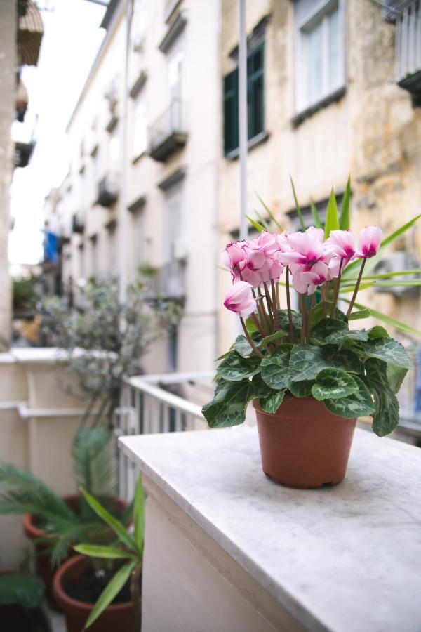 Appartamento La Casa Del Nespolo